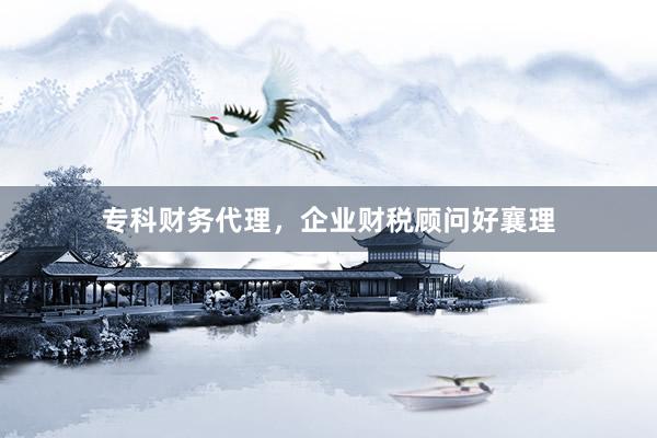 专科财务代理，企业财税顾问好襄理