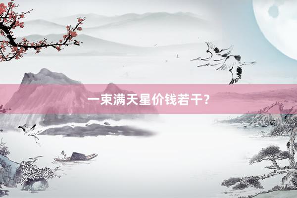一束满天星价钱若干？
