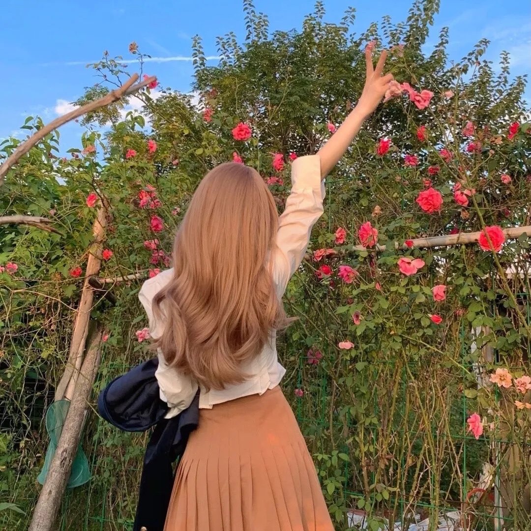 无节操摄影部