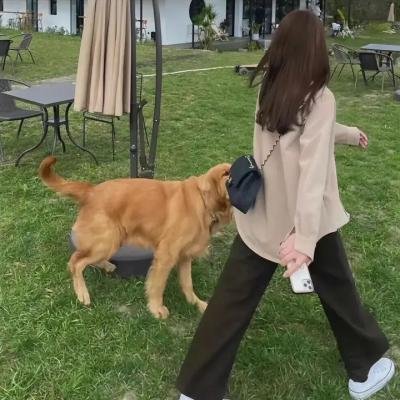 小王子路易
